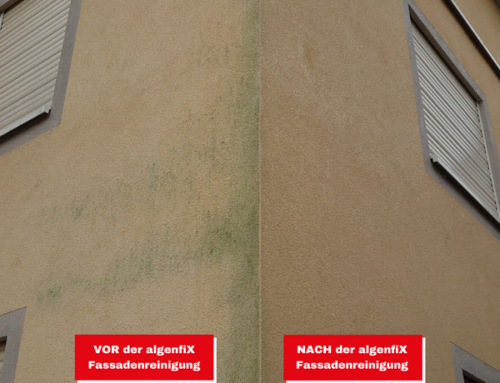 Mit der algenfix® Fassadenreinigung 70% sparen gegenüber einem Neuanstrich.